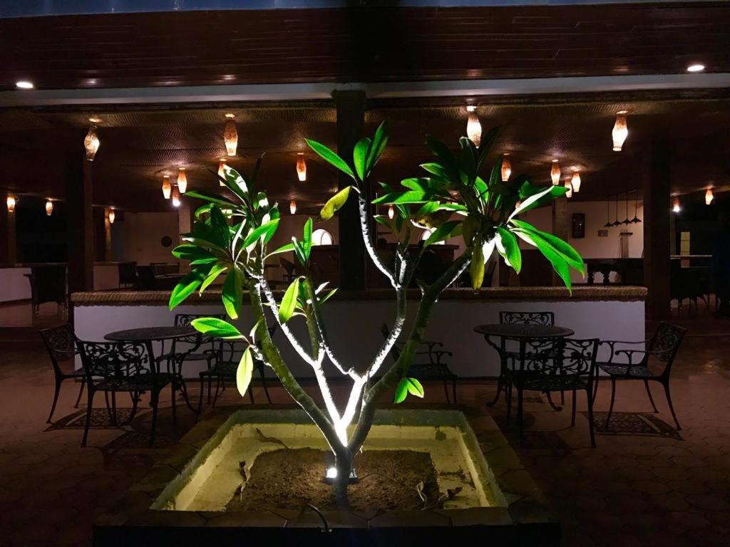 Peacock Beach Hotel 汉班托塔 外观 照片