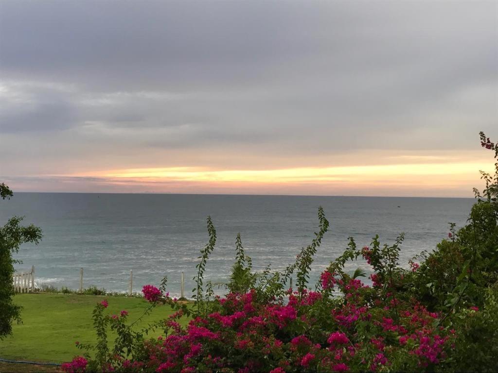 Peacock Beach Hotel 汉班托塔 外观 照片